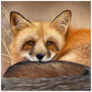 Red Fox 10 Pack Greeting Cards With Envelopes Fox Lover Gift Cards Wildlife Greeting Cards Wildlife Notecards Fox Note Cards