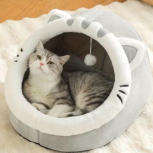 Puede incluir: Un gato gris y blanco descansa dentro de una cama para gatos gris con ribetes blancos. La cama tiene forma de cabeza de gato, con orejas y bigotes. Una pequeña borla blanca cuelga en el interior.