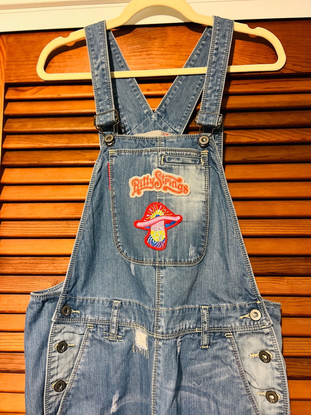 Billy Strings & Mushroom Patch Overalls Women Size Medium Etsy