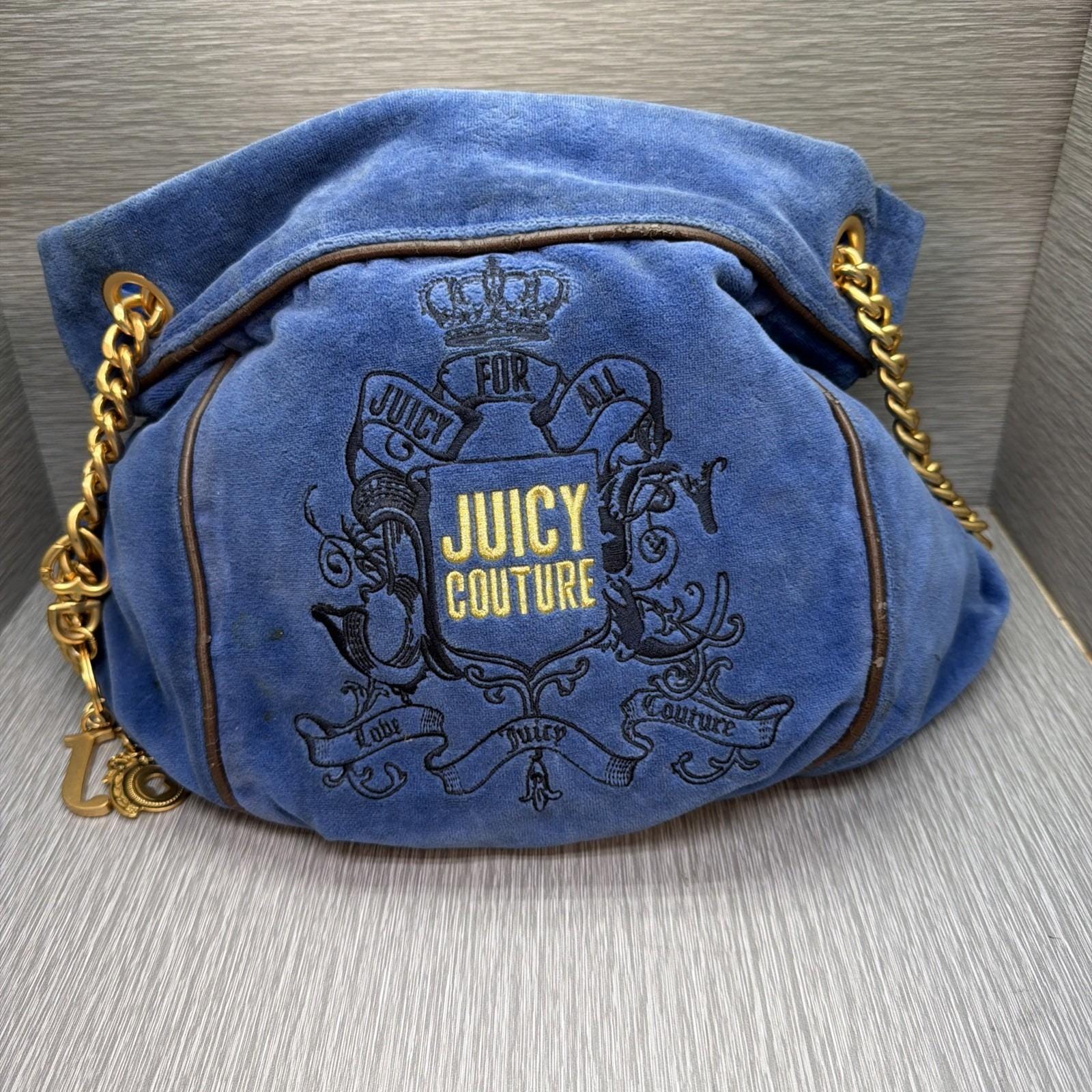Juicy Couture Juicy for All Vintage Y2K Velour Hobo Bag Blue Chain 