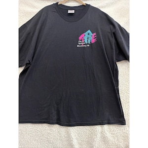 Vintage Hanes Tshirt - Etsy