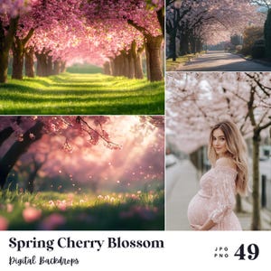 46 Spring Cherry Blossom Backdrops, Perfect for Wedding, Birthday, Special Day, Maternity, Background, Overlay, (JPG, PNG Format)