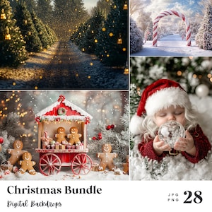 28 Christmas Bundle Backdrop, Perfect for Wedding, Birthday, Special Day, Maternity, Background, Overlay, (JPG, PNG Format)