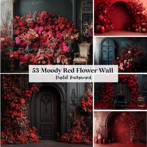 May include: A digital background featuring a moody red flower wall. The image showcases various arrangements of red and pink flowers, with a vintage chair and dark architectural elements. Text reads "53 Moody Red Flower Wall Digital Background."