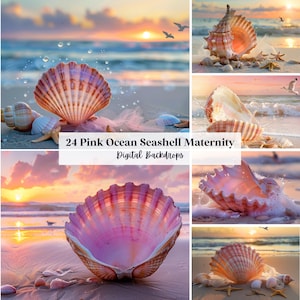 24 Pink Ocean Seashell Maternity Digital Backdrops Perfect for Maternity, Beach, Newborn, Background, Overlay, (JPG, PNG Format)