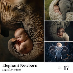 Papel digital de 17 elefantes para recién nacidos, perfecto para fondos con texturas y sesiones de fotos de recién nacidos, descarga instantánea (JPG, PNG), con uso comercial
