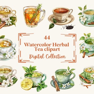 44 ilustraciones de imágenes prediseñadas de té de hierbas de acuarela, perfectas para álbumes de recortes, diarios, planificadores, descarga instantánea (PNG, WEBP), uso comercial