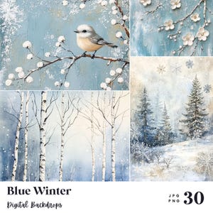 30 Blue Winter Digital Backdrops, Perfect for Wedding, Birthday, Special Day, Maternity, Background, Overlay, (JPG, PNG Format)