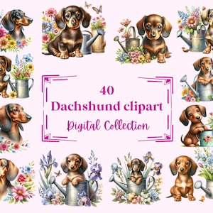 40 Dachsund Clipart Illustrationen, perfekt für Scrapbook, Journal, Planer, Handwerk, Sofort Download (PNG, WEBP), kommerzielle Nutzung