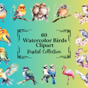 60 ilustraciones de imágenes prediseñadas de pájaros de acuarela, perfectas para álbumes de recortes, diarios, planificadores, manualidades, descarga instantánea (PNG, WEBP), uso comercial