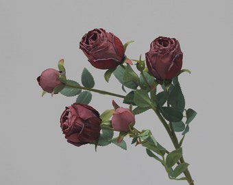Valentine's Single Dried Red Rose, 5-Head stem - Timeless Love Symbol, Perfect for Feb 14th, Romantic Roses, Gift for Her