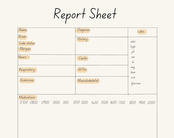 Nursing Report Sheet Template, Day Shift, Night Shift, Med Surg, Digital Product