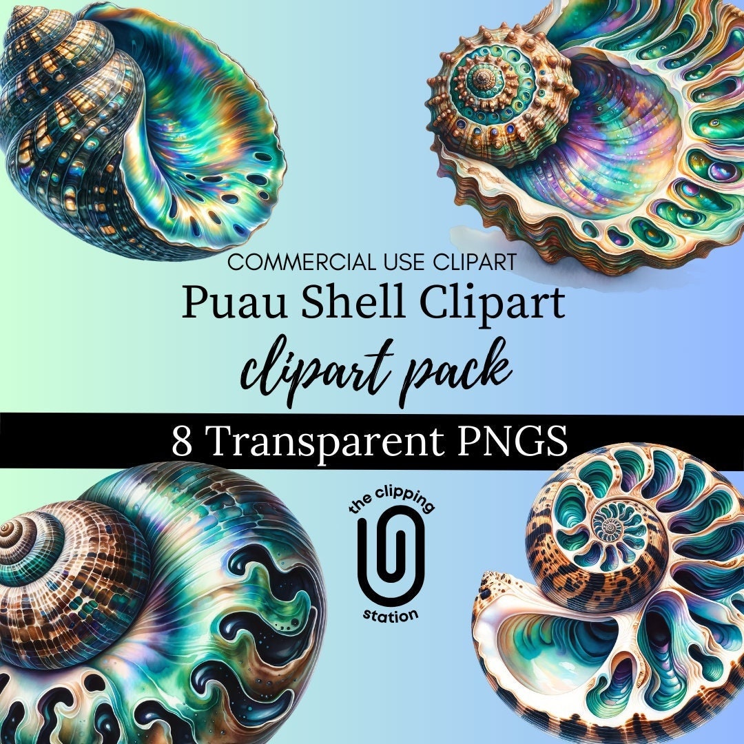 Paua Shell Pattern Vector Puau Shell Clipart, Australian Puau Shells PNG, Transparent Pngs, Shell ...