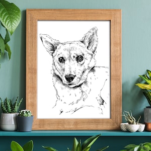 Custom Pet Portrait, Personalized Gift, Hand Drawn Illustration, Custom Drawing, Portraiture, Digital Art, Portrait from Photo