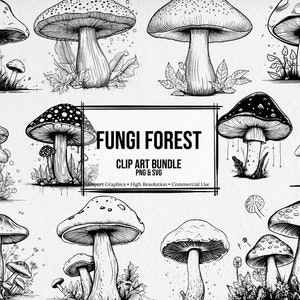 Fungi Forest set, PNG, SVG, mushroom svg, mushrooms svg, plant svg, mushroom png, commercial use, instant download