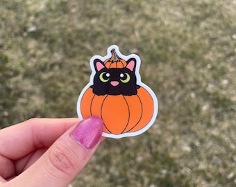 Pumpkin Cat Waterproof Sticker | Fall Halloween Decal