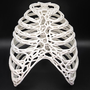 May include: A white, 3D-printed anatomical model of a human rib cage. The model is a detailed representation of the rib structure, with each rib and connecting cartilage clearly visible. The design is intricate and the model is set against a black background.