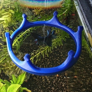 Crown Shaped Fish Feeding Ring