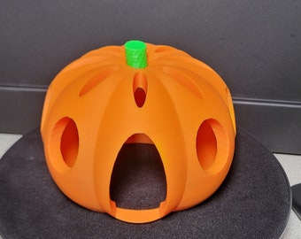 Pumpkin fish house
