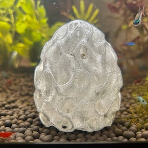 Shrimp hide v2