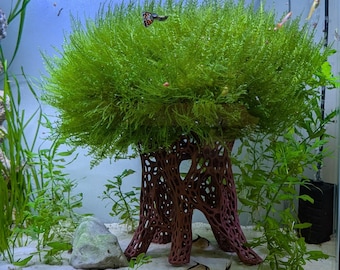 Aquarium Moss Ledge Bonsai Coral Reef Style für Fische, Garnelen, Krabben und Moosschutz