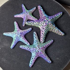 Starfish varying size set of 4 Aquarium Decoration