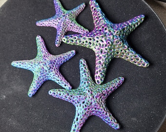 Set di 4 stelle marine di varie dimensioni per decorazioni per acquario