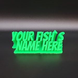 Peut inclure: Une enseigne en 3D imprimée en vert vif qui indique "YOUR FISH'S NAME HERE".