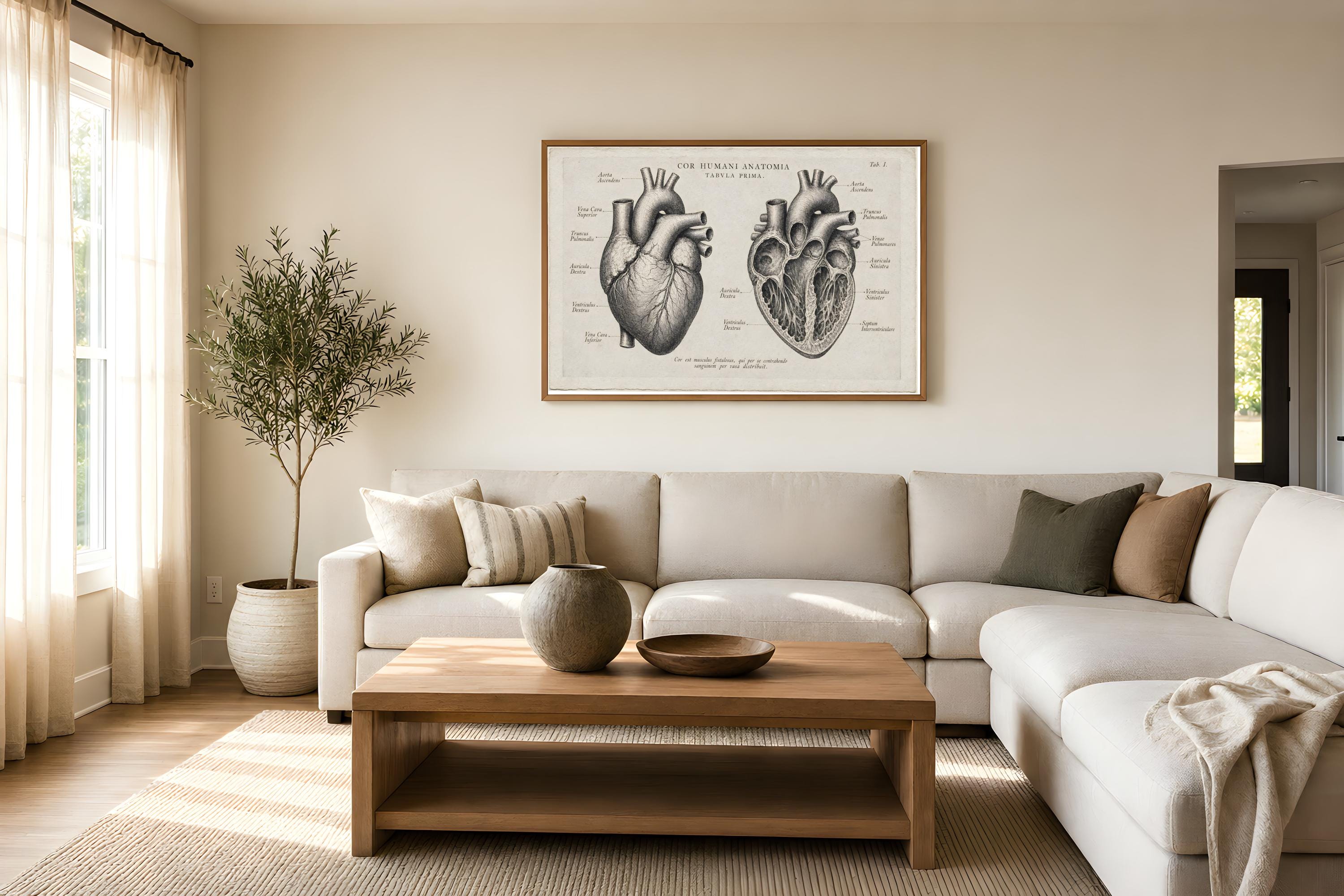 Human Heart Anatomy Etching Print | Cardiology Wall Art - Etsy