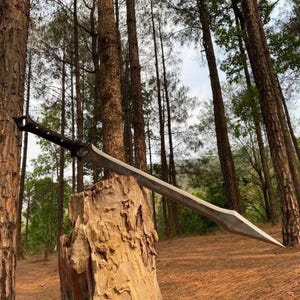 以下が含まれることがあります： 黒い柄の長い銀色の剣が、森の中の切り株の上に置かれています。剣は尖った刃と装飾的な柄を持っています。背景には高い木々や自然の風景が広がっています。