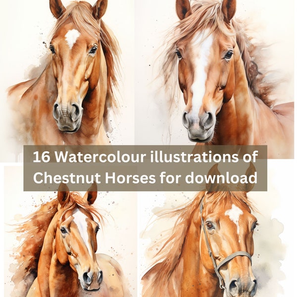 14 Watercolour paintings of Chestnut Horses, Clipart PNGs, Original Artwork