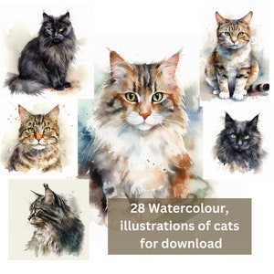 28 Aquarell Gemälde von Katzen, Katzen Kunstwerk, Clipart PNGs kommerzielle Nutzung Downloads, Idee für die Kartenherstellung