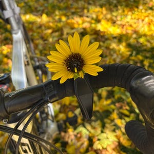 Bike Flower Vase for Handlebars Fun Biking Accessory for Summer, Flower Vase for Biking, a Great Gift for Bikers image 4