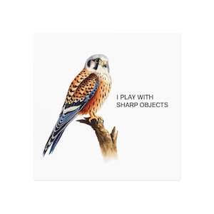 May include: A watercolor-style illustration of an American kestrel perched on a brown tree branch. The bird has brown, black, and white feathers with a grey head. To the right of the bird, the text reads: I PLAY WITH SHARP OBJECTS.