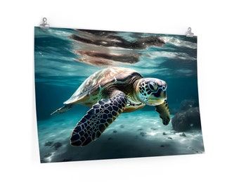 Sea Turtle - Premium Matte horizontal Poster