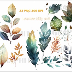 Leaves Clipart Set, fruits- 23 PNG, 300 DPI, without background, printable