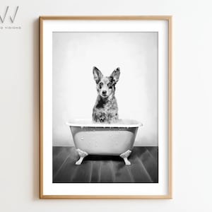 Australian Cattle Dog in una vasca da bagno vintage, arte da bagno con animali, stile rustico, arte da parete per il bagno, bianco e nero, arte senza cornice. #736
