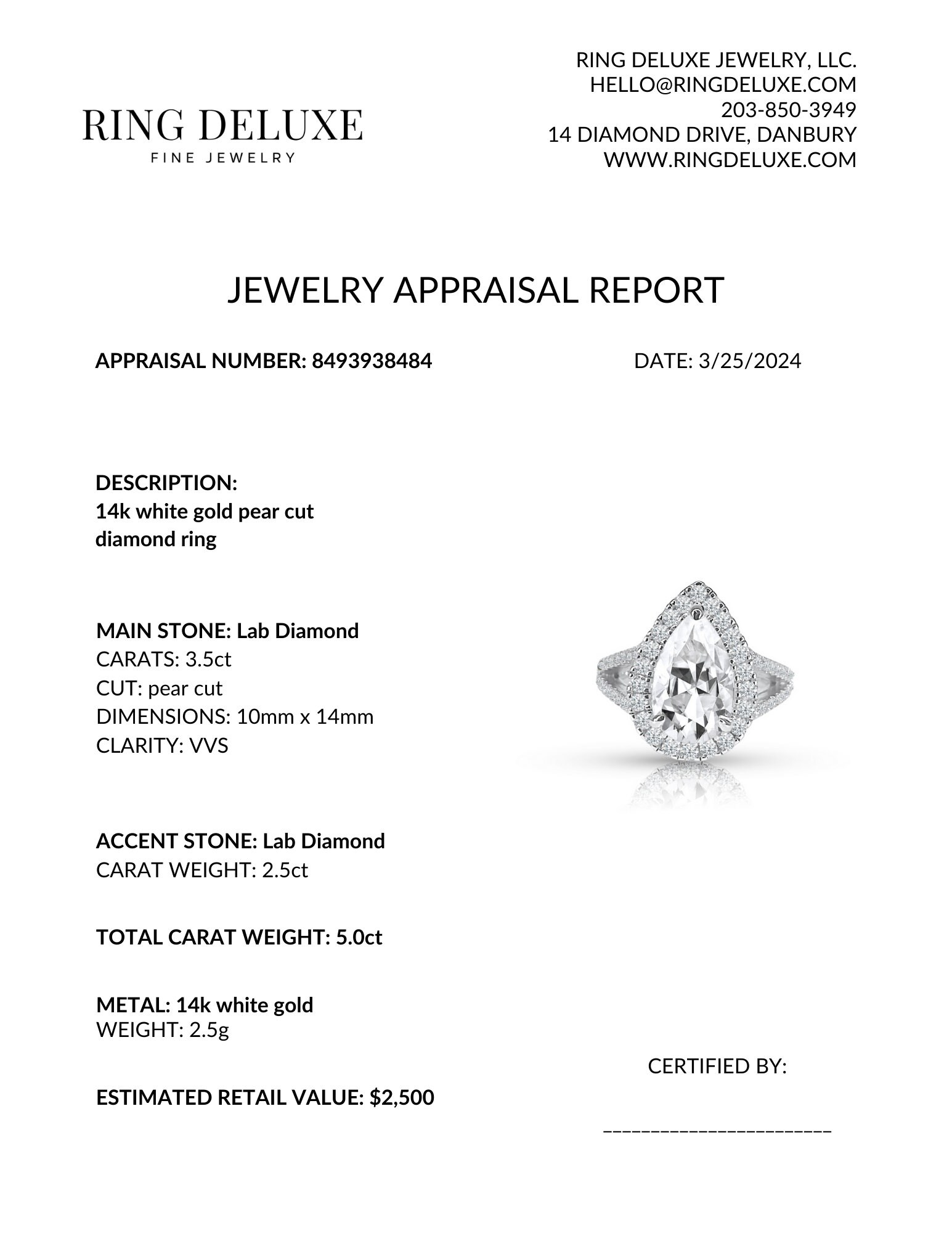 Jewelry Appraisal Printable Template PDF Reusable Templates for