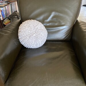 Super soft throw pillow