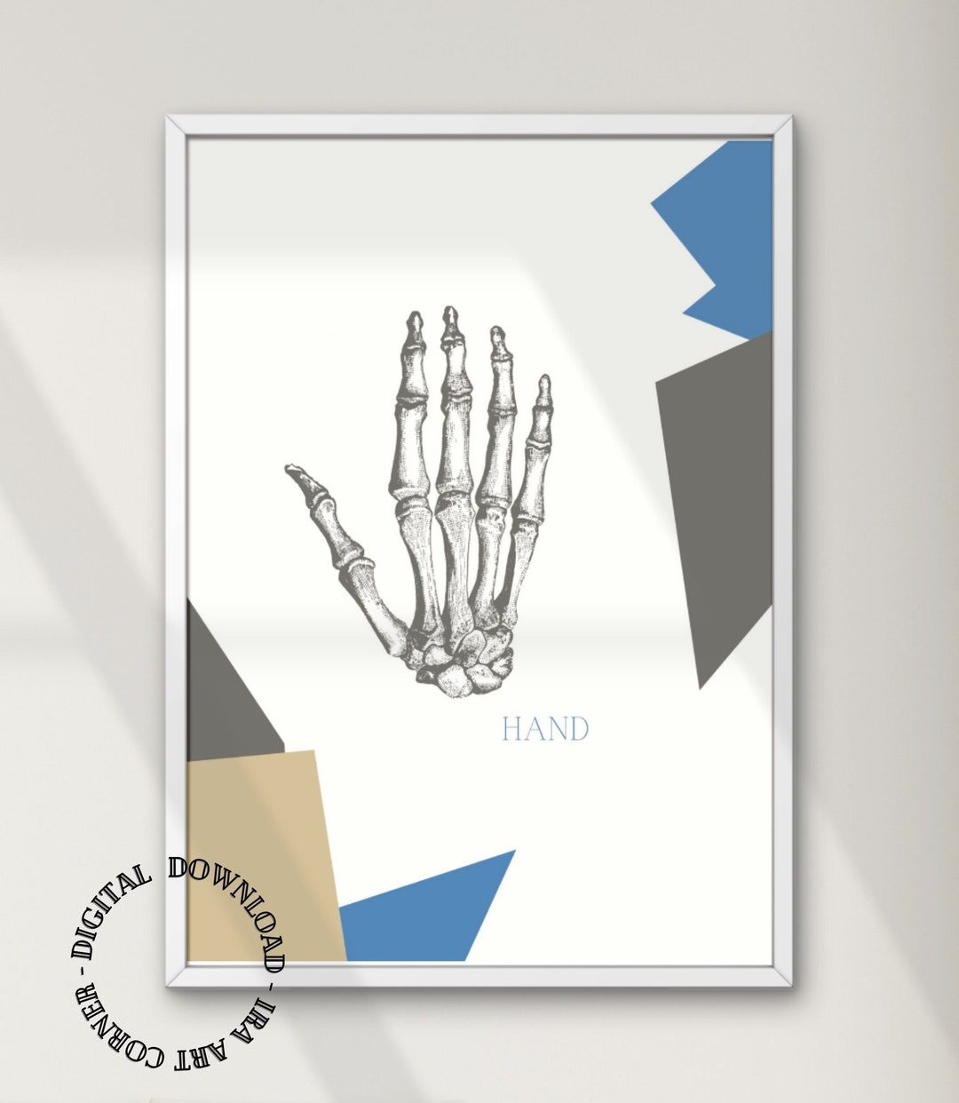 Chiropractic Navy Blue Anatomy Wall Art, Nurse Practitioner Office