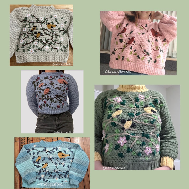 May include: Five different crocheted sweaters with embroidered birds and flowers. The sweaters are in various colors, including green, blue, pink, and gray. The sweaters are all made with a soft, textured yarn.