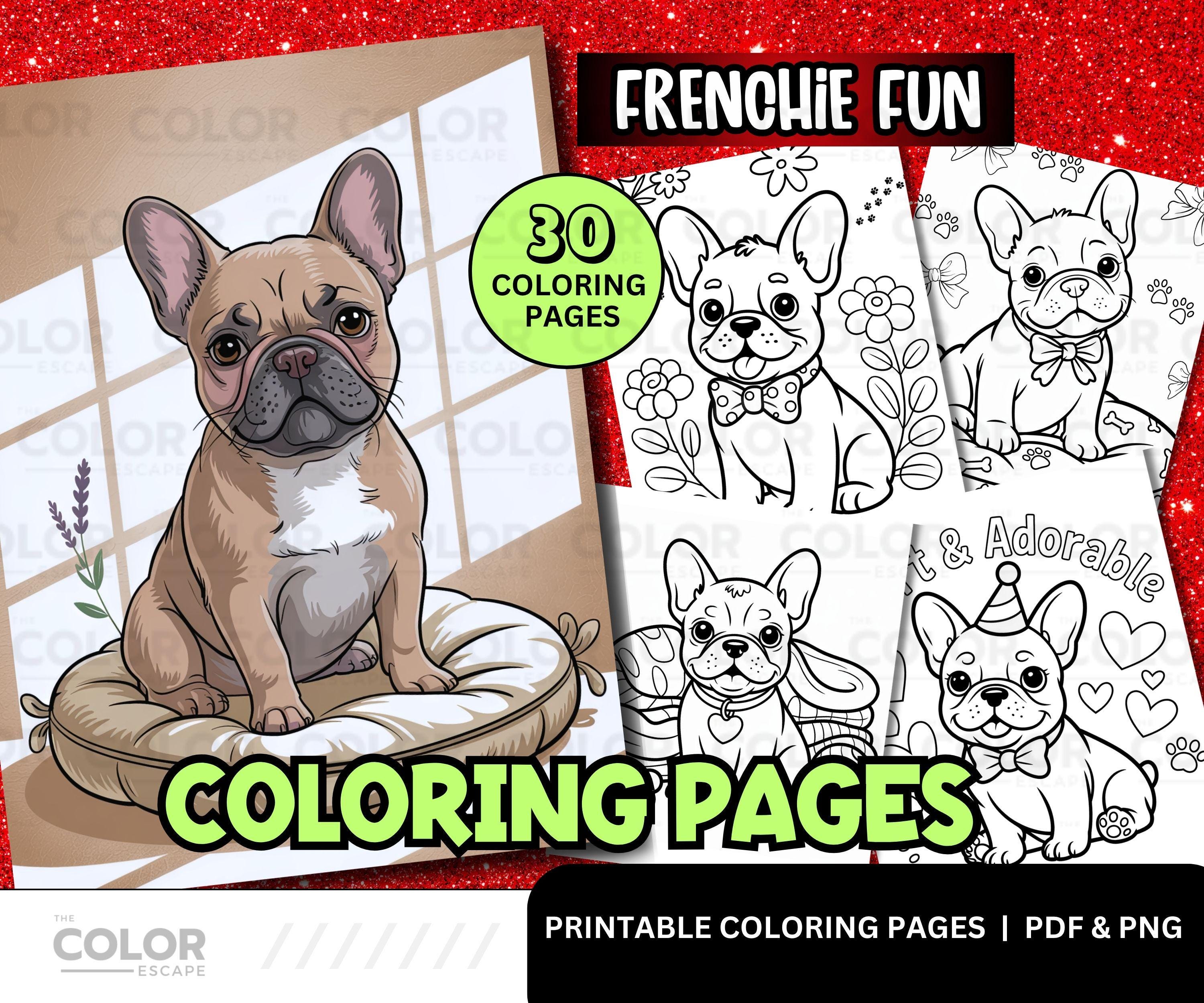 Bulldog coloring - Etsy België, image size:3000x2500