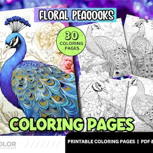 Floral Peacocks Digital Download Coloring Page - Elegant Majestic Detailed Feathers & Flowers Line Art of Birds Coloring Book Illustrations