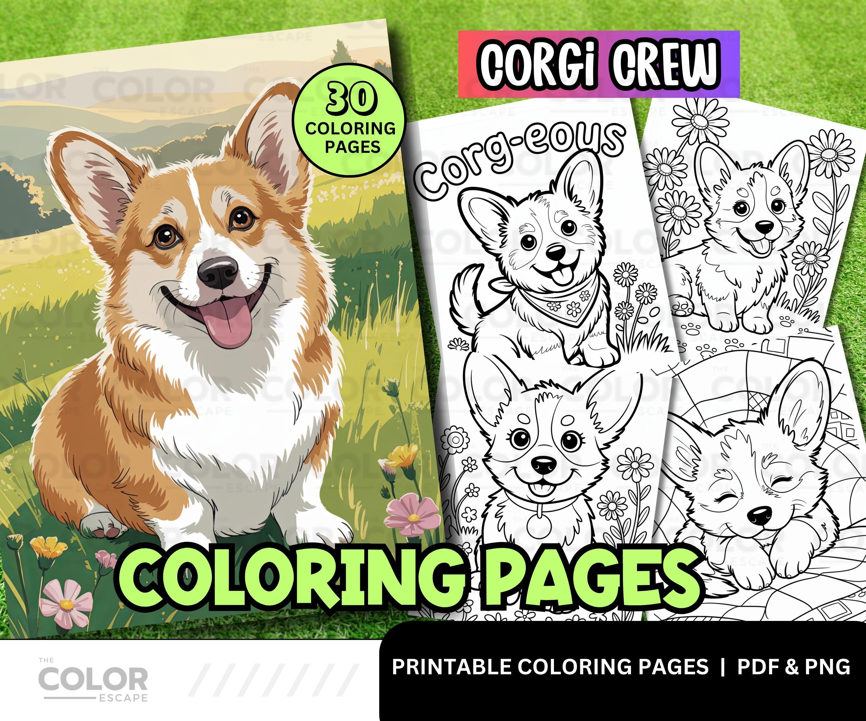Corgi coloring page - Etsy 日本