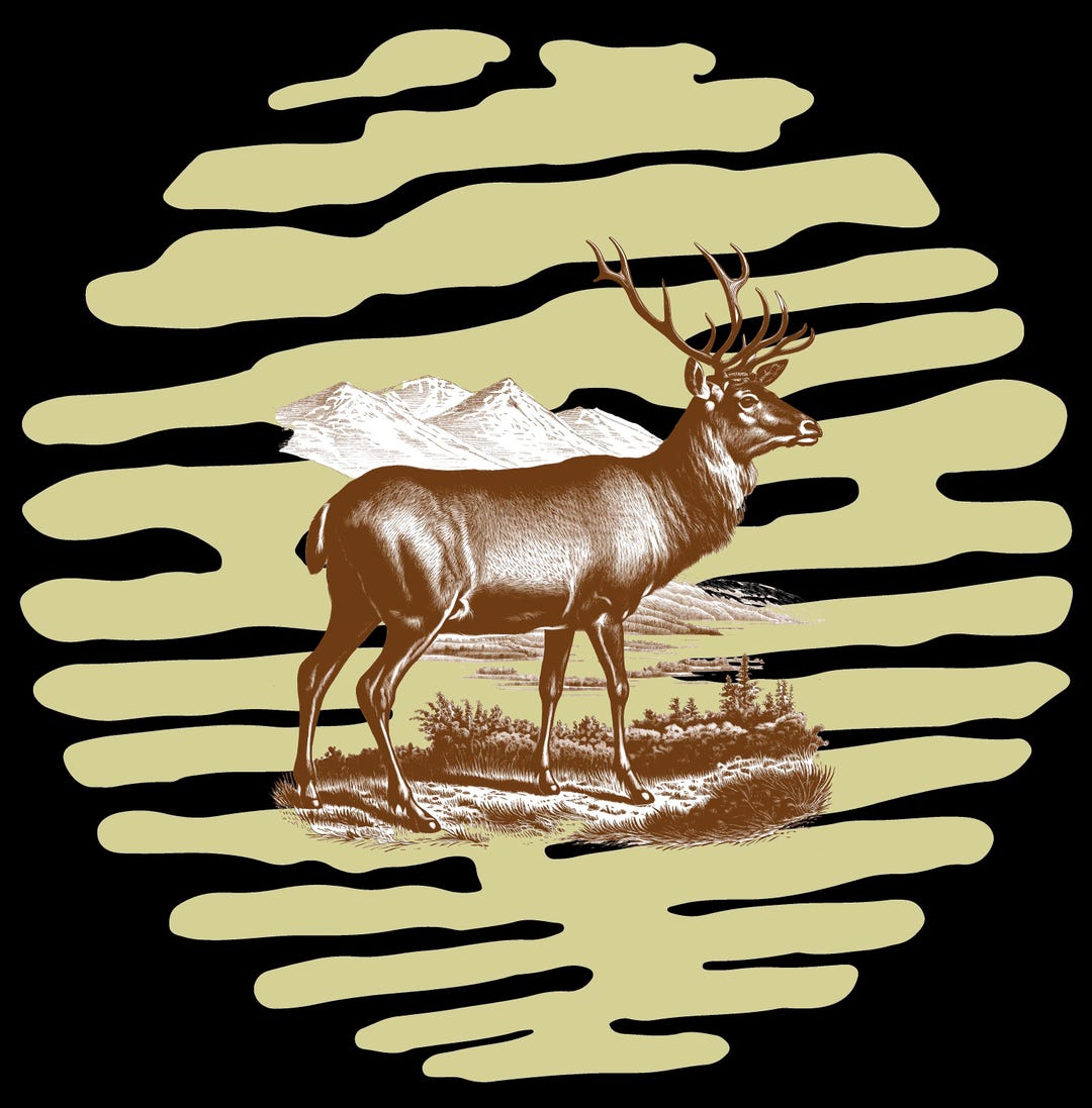 Wild Deer PNG Sublimation Digital Download, Vintage 90s Wildlife Design ...