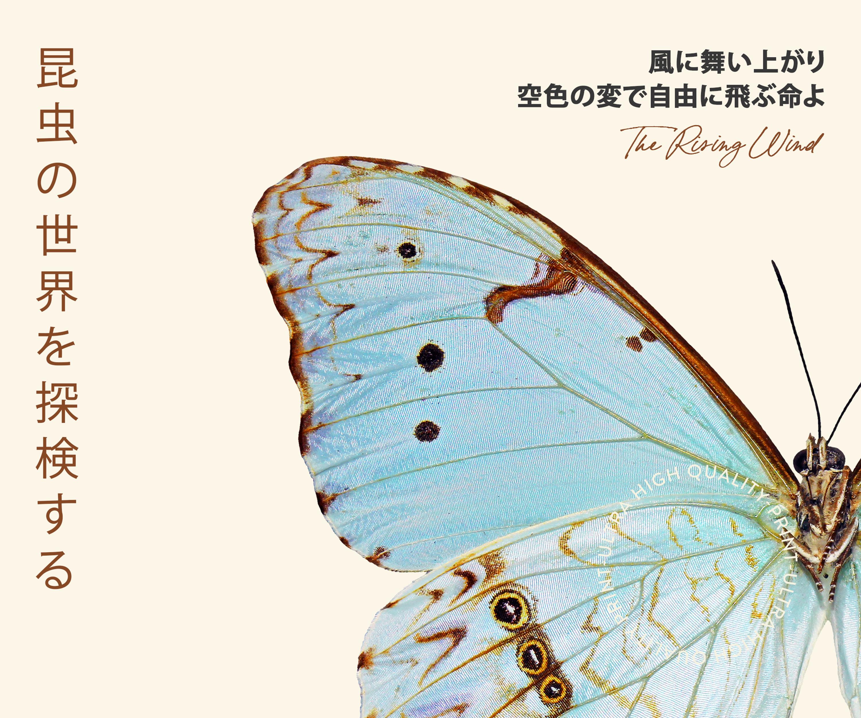 Blue Butterfly Japanese Poster – Vintage Tokyo Exhibition