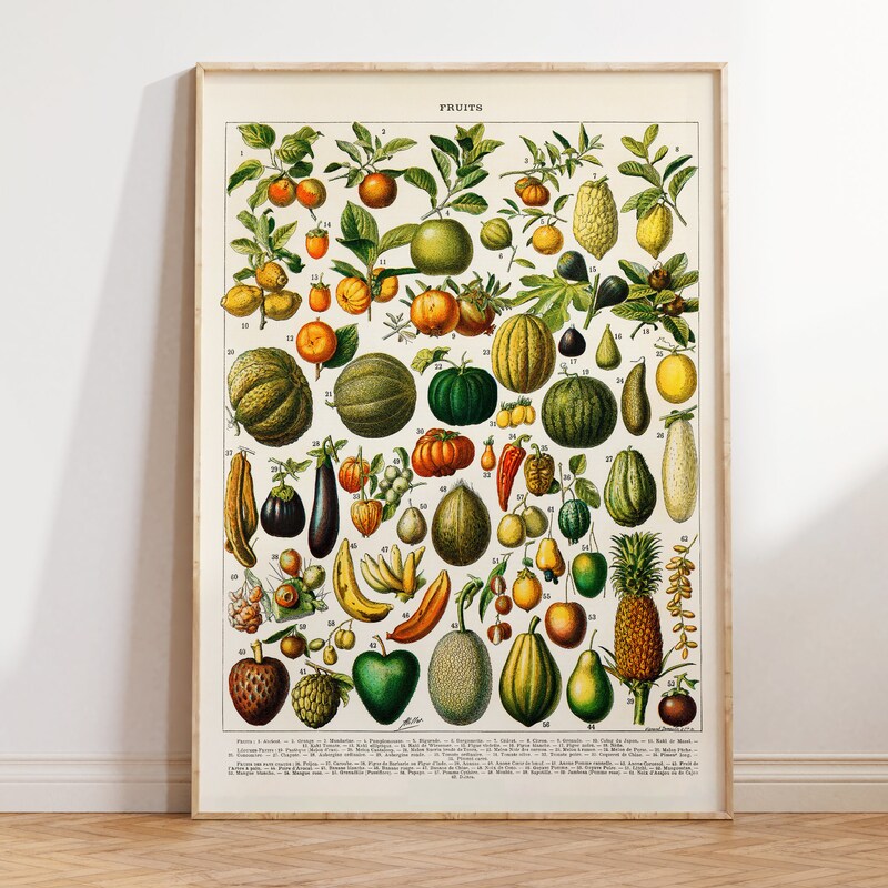 Retro Kitchen Art - Etsy