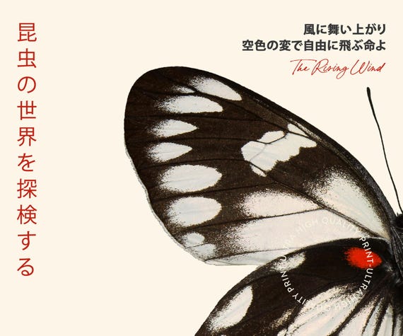 絵画 butterfly Butterfly, Papillon 81 YAYOI KUSAMA - 1985 - Poster | eBay
