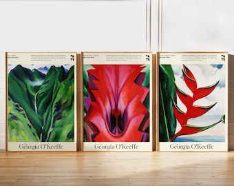 Set of 3 Wall Art Georgia O'keeffe Prints - Topical Hawaii Flower