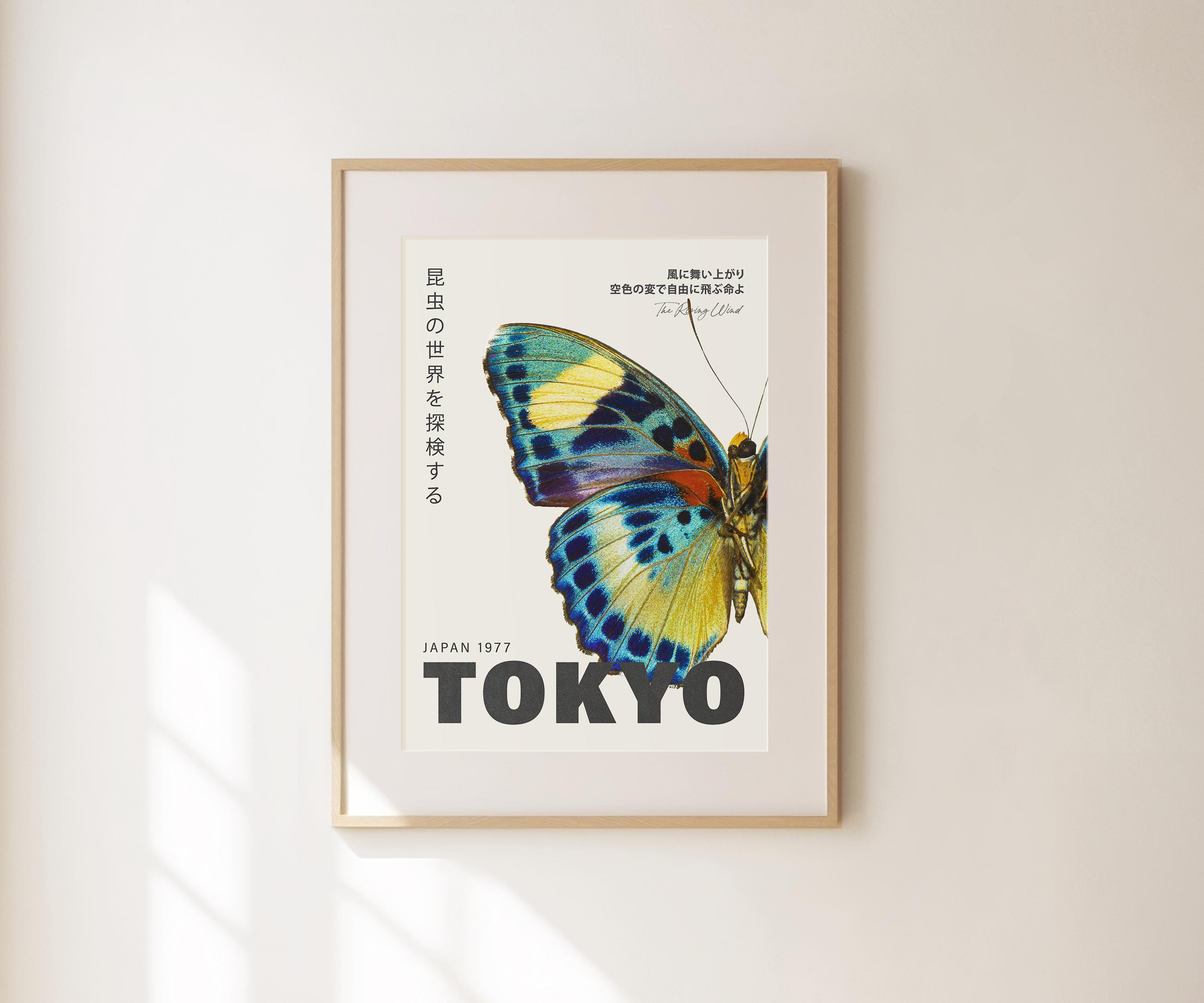 Butterflies From China, Japan, and Corea; pt.1: Leech, John
